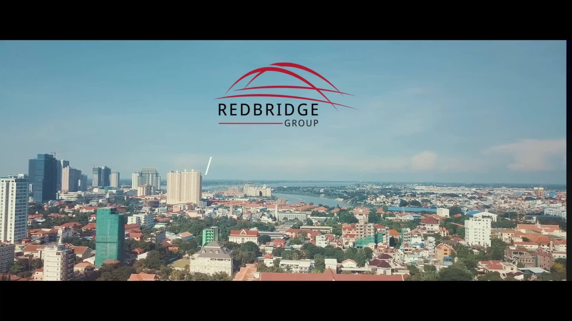 REDBRIDGE partnership visual